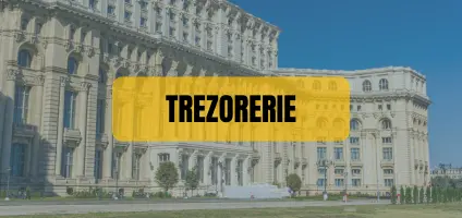 Plată anunț în ziar prin Trezorerie – opțiune pentru instituții publice